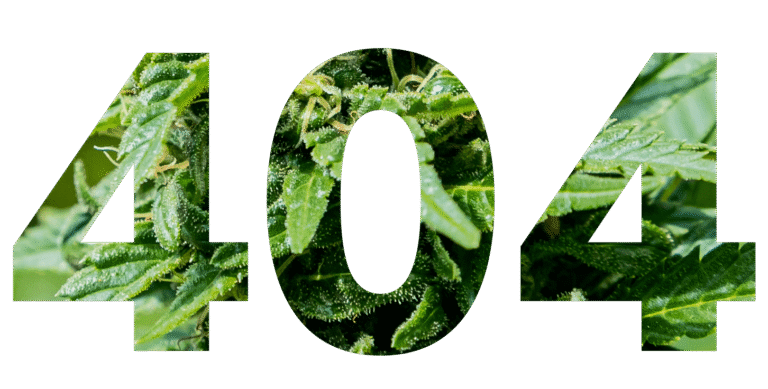 404-1.png